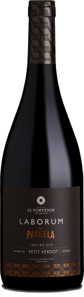 EL PORVENIR - Laborum De Parcela Pedit Verdot 2019